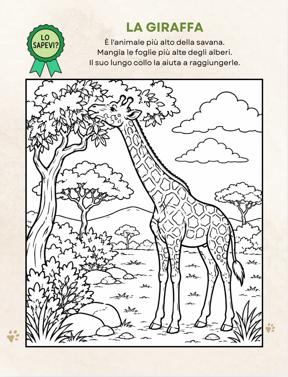 La giraffa